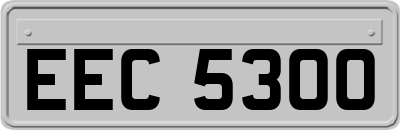EEC5300