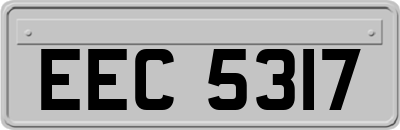 EEC5317