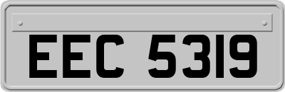EEC5319