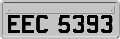 EEC5393