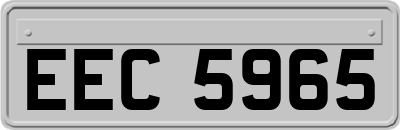 EEC5965