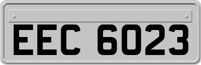 EEC6023