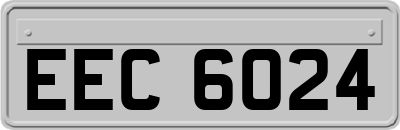 EEC6024