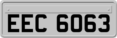EEC6063