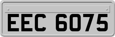 EEC6075