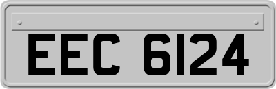EEC6124