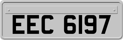 EEC6197
