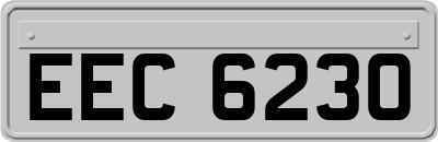 EEC6230