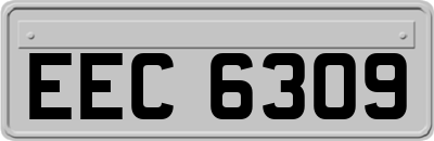 EEC6309