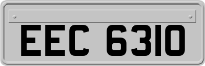 EEC6310