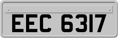 EEC6317