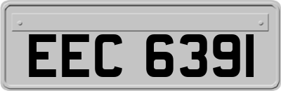 EEC6391