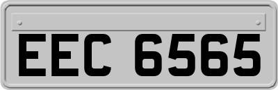 EEC6565
