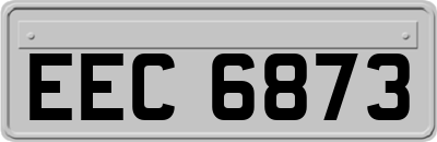 EEC6873
