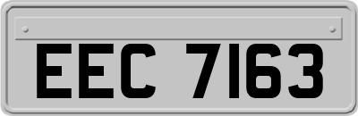 EEC7163