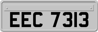 EEC7313
