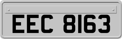EEC8163