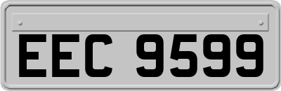 EEC9599