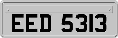 EED5313