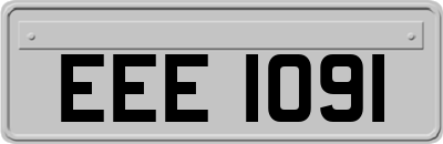 EEE1091