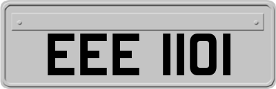 EEE1101