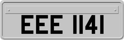 EEE1141
