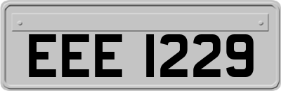 EEE1229