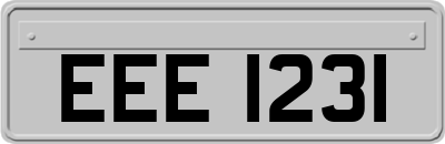 EEE1231