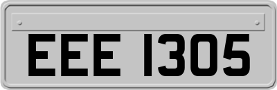 EEE1305