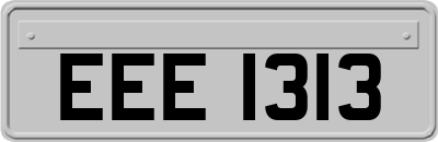 EEE1313