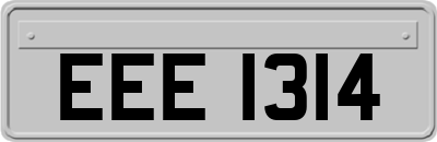 EEE1314