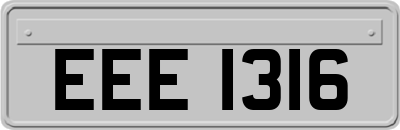 EEE1316