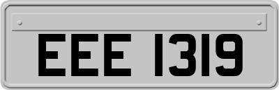 EEE1319