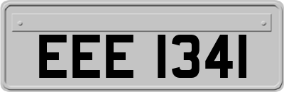 EEE1341
