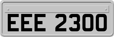 EEE2300