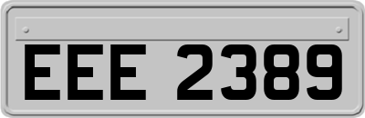 EEE2389