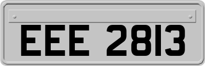 EEE2813