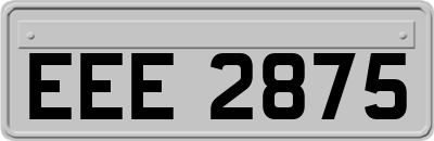 EEE2875