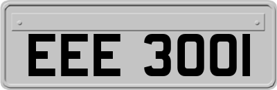 EEE3001