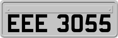 EEE3055
