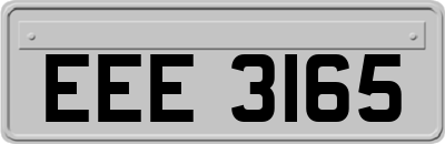 EEE3165