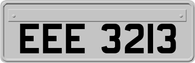 EEE3213