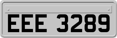 EEE3289