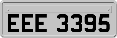 EEE3395