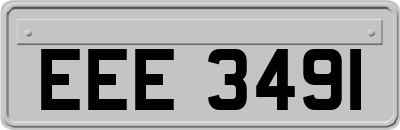 EEE3491
