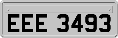 EEE3493
