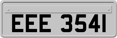 EEE3541