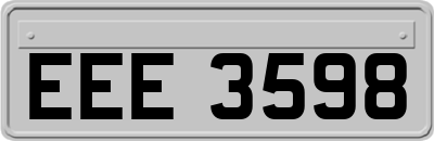 EEE3598