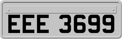 EEE3699