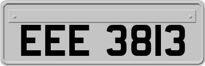 EEE3813